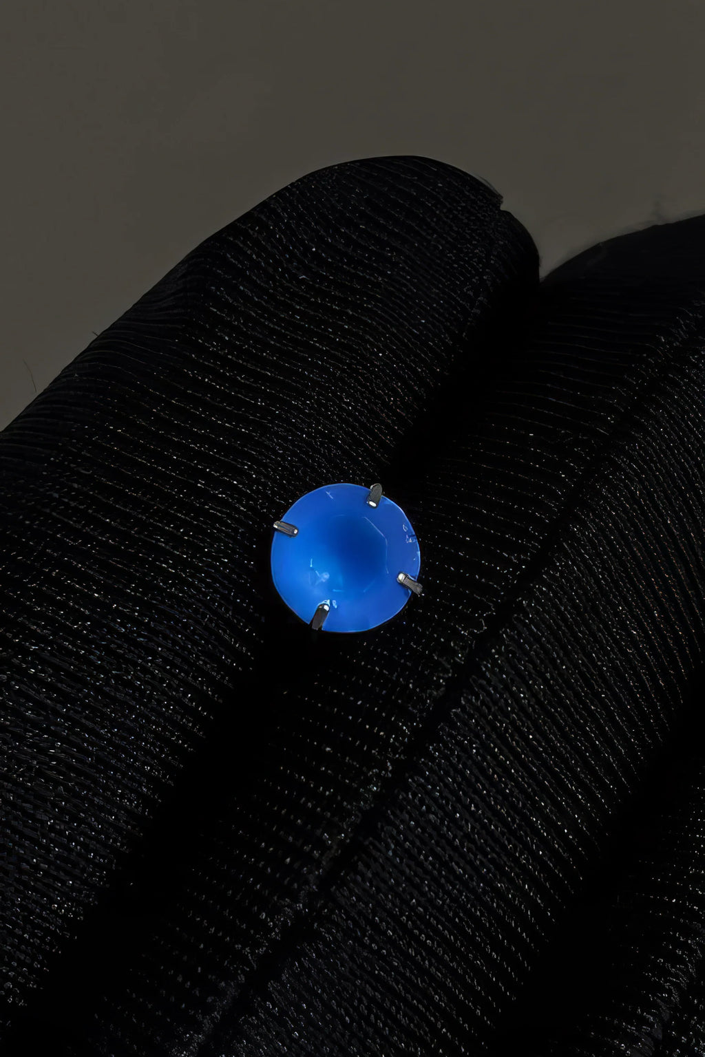 Blue Tulip Matte Titanium Steel Stud Earrings