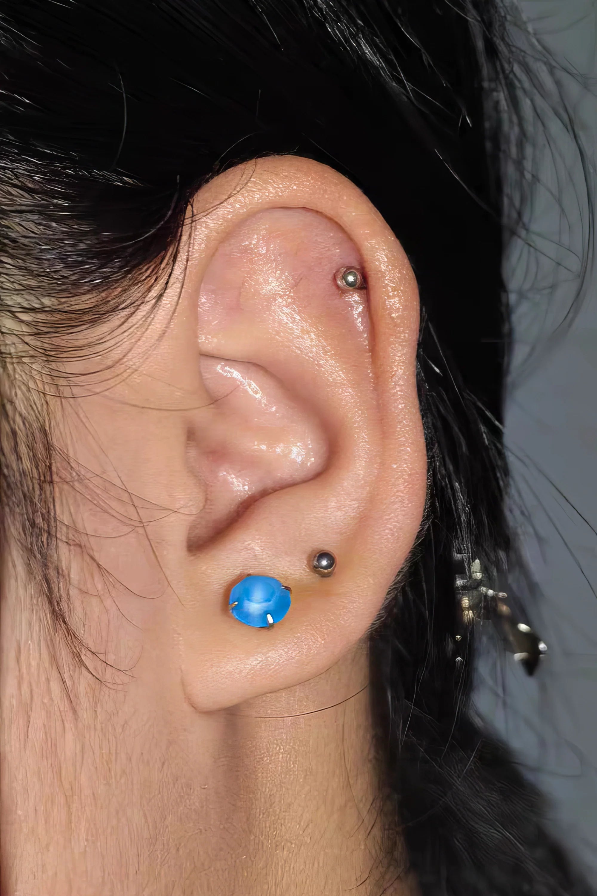 Blue Tulip Matte Titanium Steel Stud Earrings